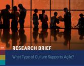 What type of Culture supports agile?